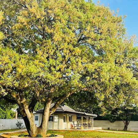 The Oaks Outdoor Living *